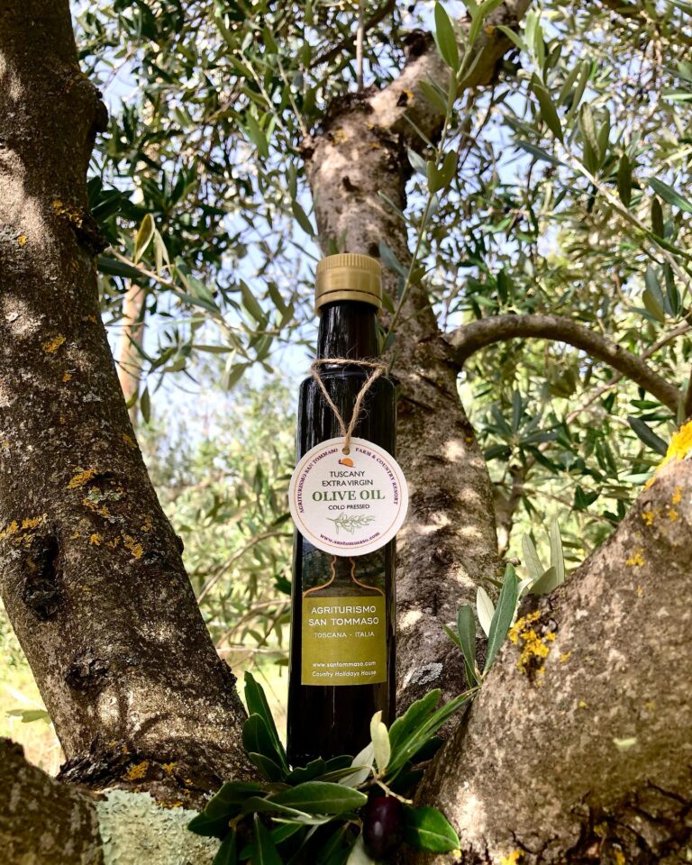 Instagram post from agriturismosantommaso. This post is in position 2.