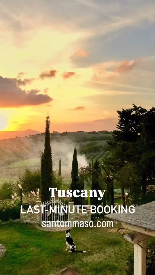 Instagram post from agriturismosantommaso. This post is in position 4.
